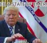 Trump Declares a National Emergency, Vows to Give Us the North American Union!